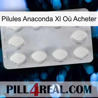 Pilules Anaconda Xl Où Acheter 16